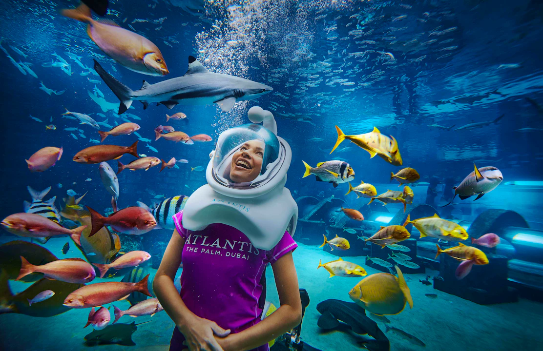 Aquaventure + Lost Chamber Aquarium Price